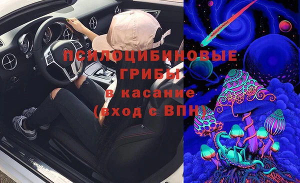гидропоника Абаза