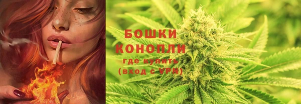 гидропоника Абаза