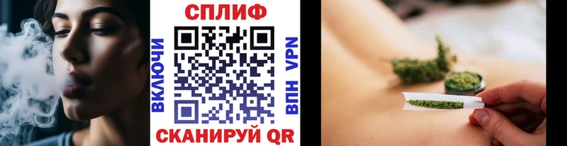 сколько стоит  Пугачёв  Шишки марихуана планчик 